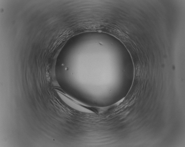 X0000068311202200605051522