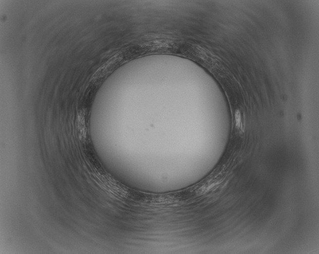 X0000068311203200605051522