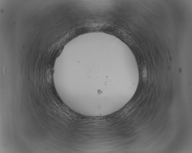 X0000068311204200605051522