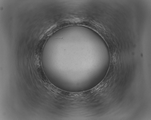 X0000068311205200605051522