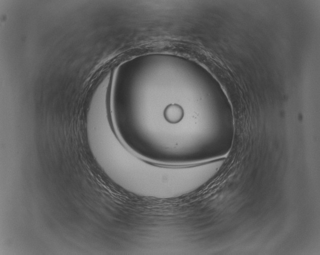 X0000068311206200605051522