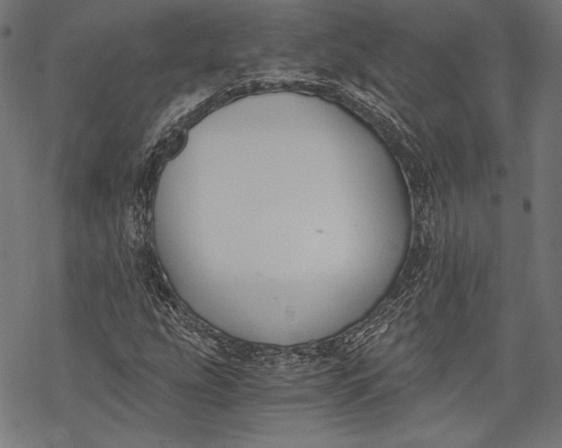 X0000068311207200605051522