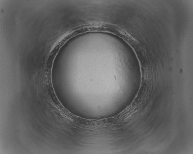 X0000068311208200605051522