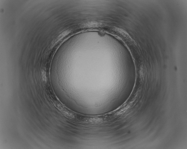 X0000068311209200605051522