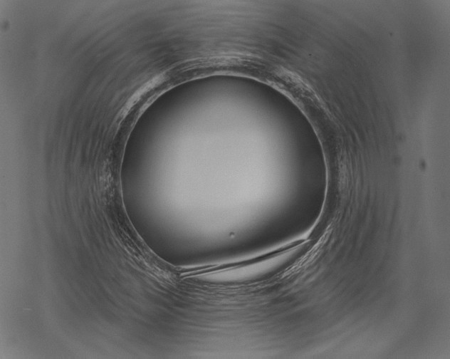 X0000068311210200605051522