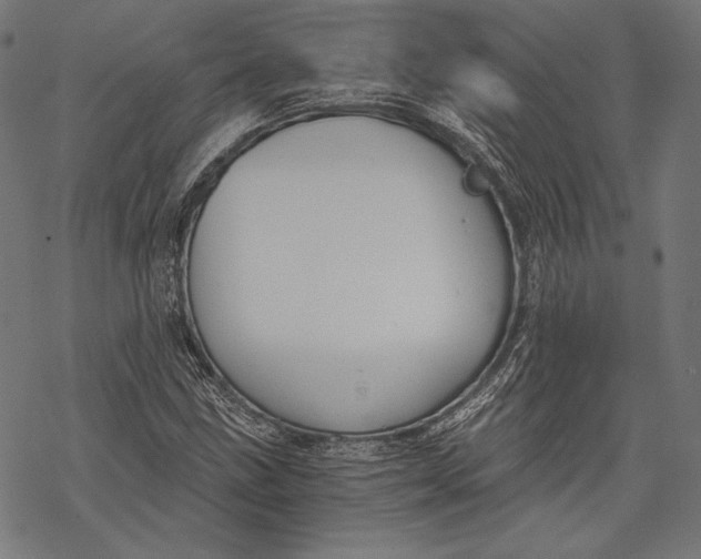 X0000068311211200605051522