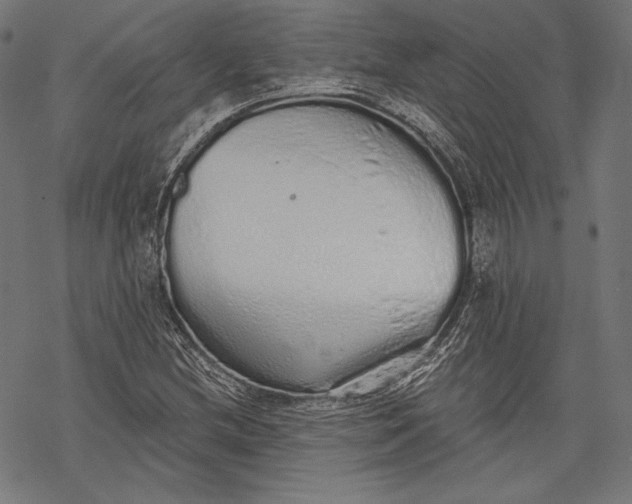 X0000068311212200605051522