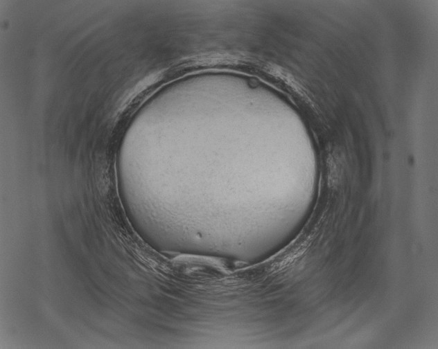 X0000068311213200605051522