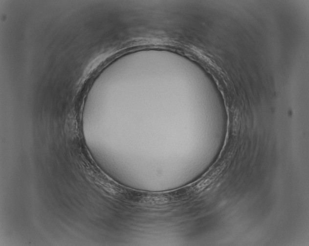 X0000068311215200605051522