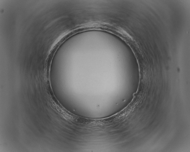 X0000068311216200605051522