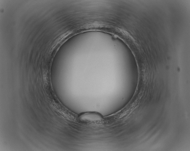 X0000068311217200605051522