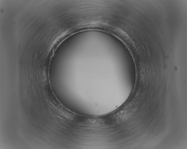 X0000068311218200605051522