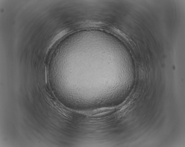 X0000068311219200605051522