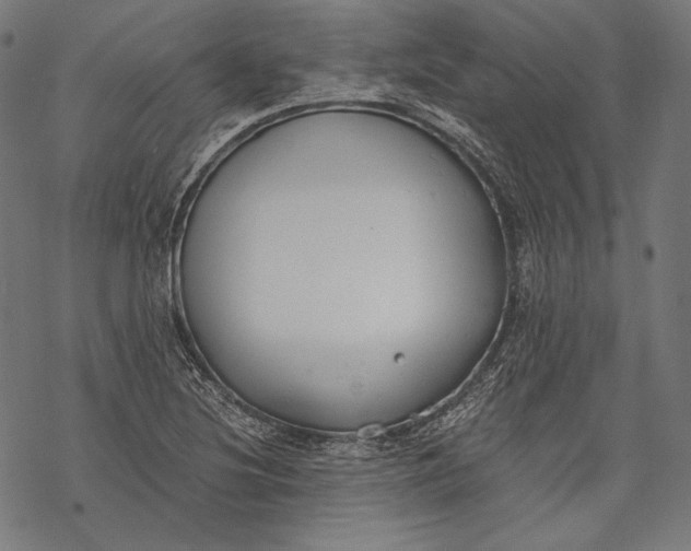 X0000068311220200605051522