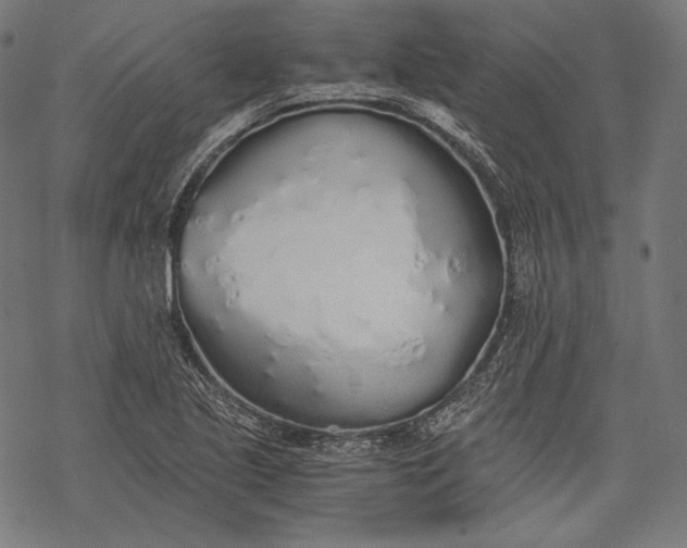 X0000068311221200605051522