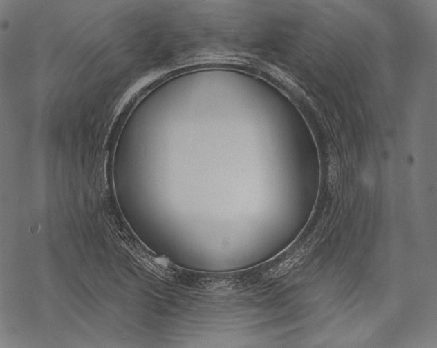 X0000068311222200605051522