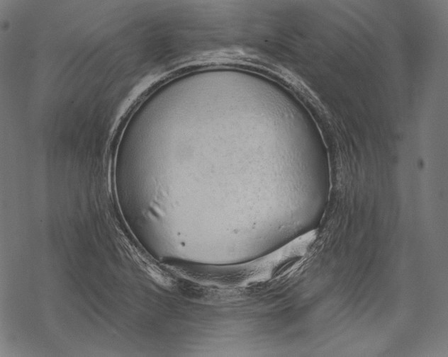 X0000068311224200605051522