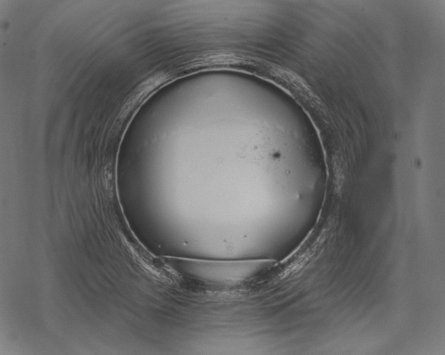 X0000068311225200605051522