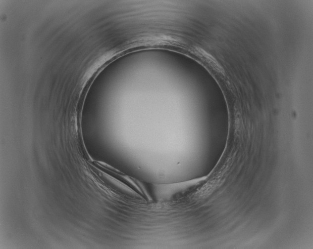 X0000068311226200605051522