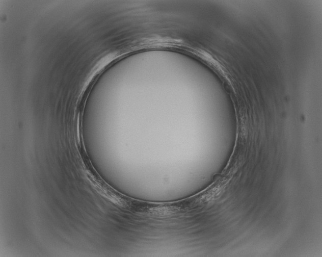 X0000068311227200605051522