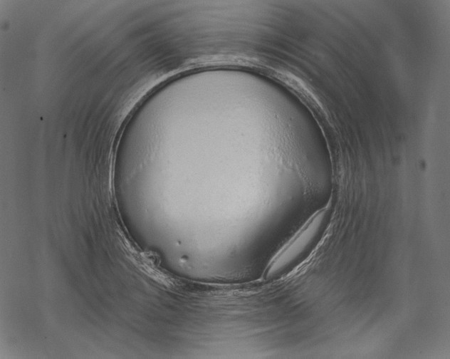 X0000068311228200605051522