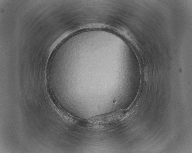 X0000068311229200605051522