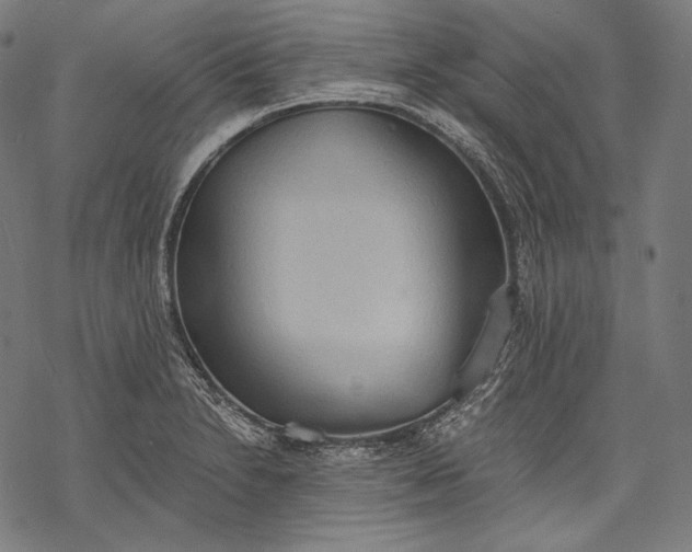 X0000068311230200605051522