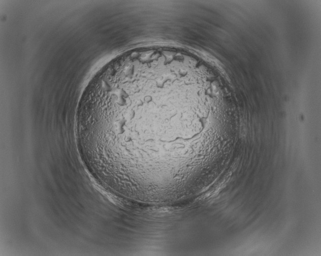 X0000068311231200605051522