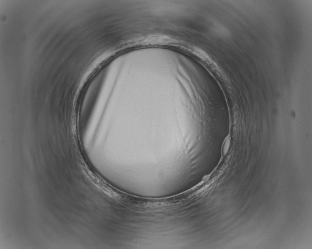 X0000068311232200605051522