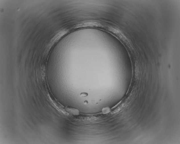 X0000068311233200605051522