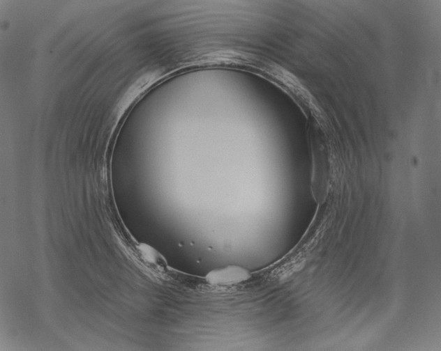 X0000068311234200605051522