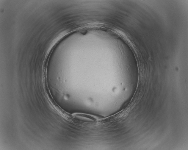 X0000068311235200605051522