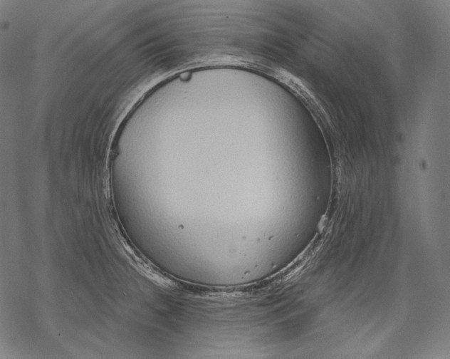 X0000068311236200605051522