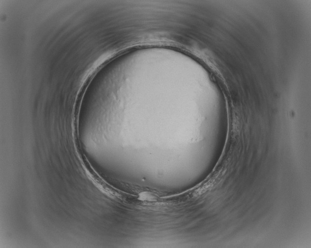 X0000068311237200605051522