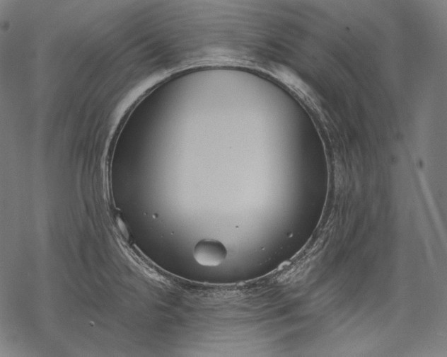 X0000068311238200605051522