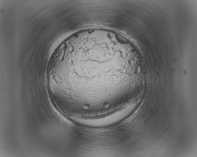 X0000068311239200605051522