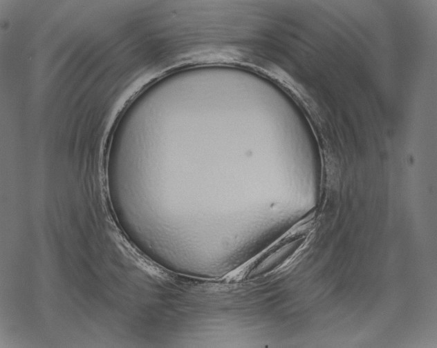 X0000068311240200605051523