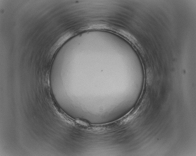 X0000068311241200605051523