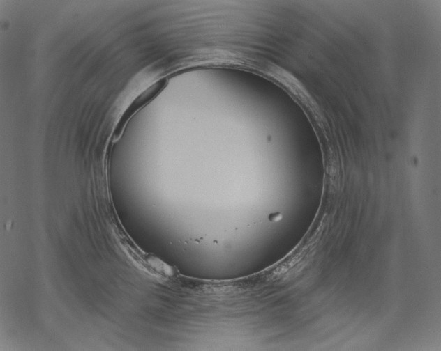 X0000068311242200605051523