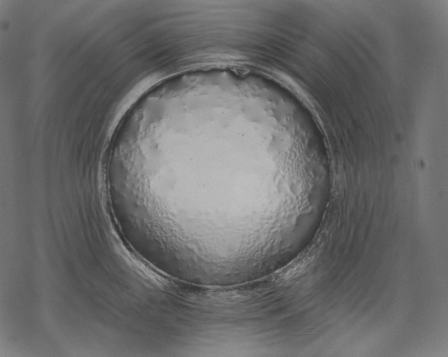 X0000068311243200605051523