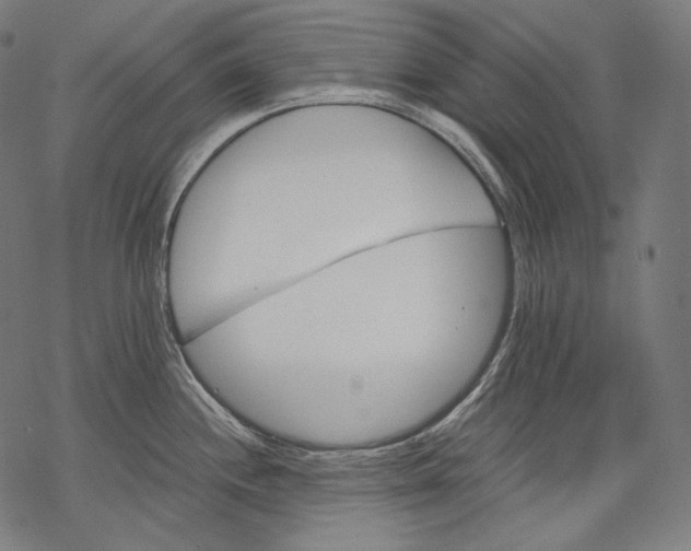 X0000068311244200605051523