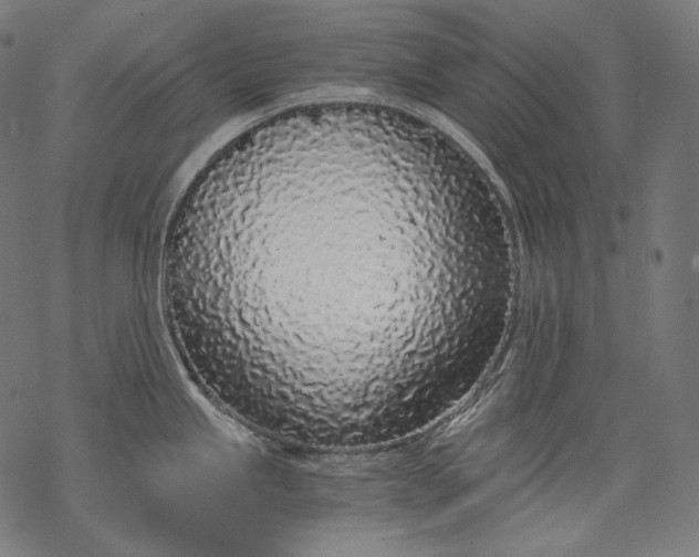 X0000068311245200605051523