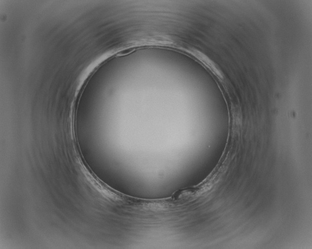 X0000068311246200605051523