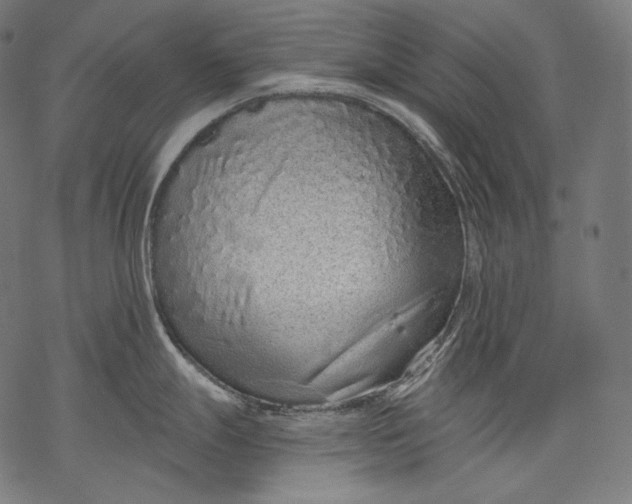 X0000068311247200605051523