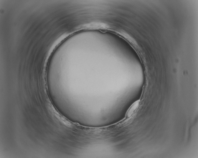 X0000068311248200605051523