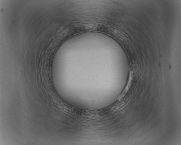 X0000068311249200605051522