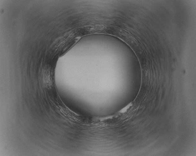 X0000068311250200605051522