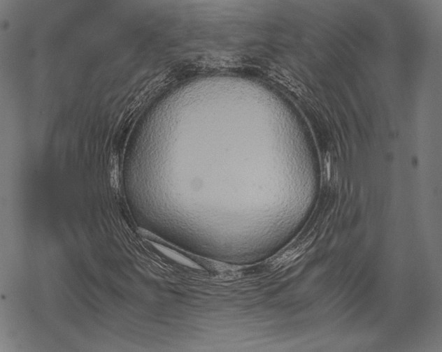 X0000068311251200605051522