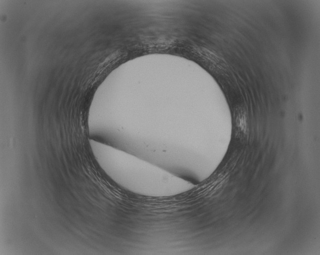 X0000068311252200605051522