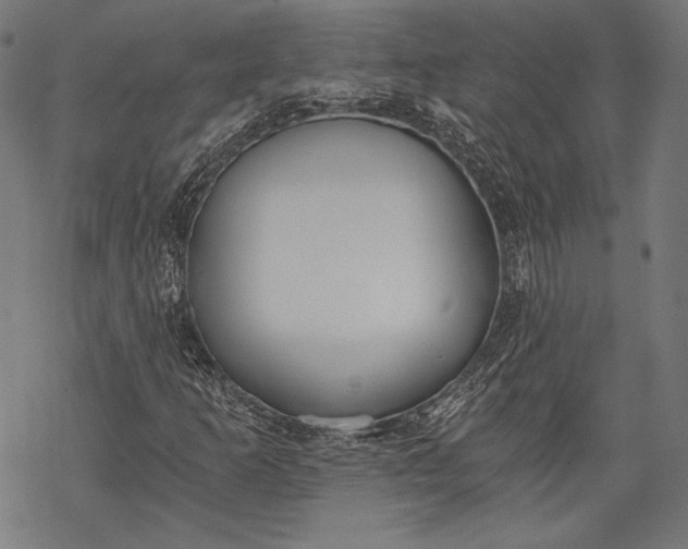 X0000068311253200605051522